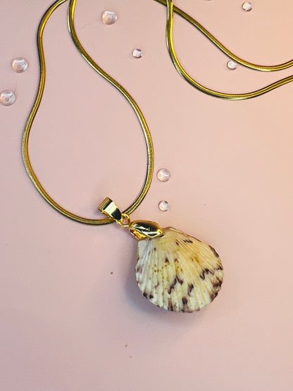 Calico Scallop Hidden Treasure Pendant Necklace