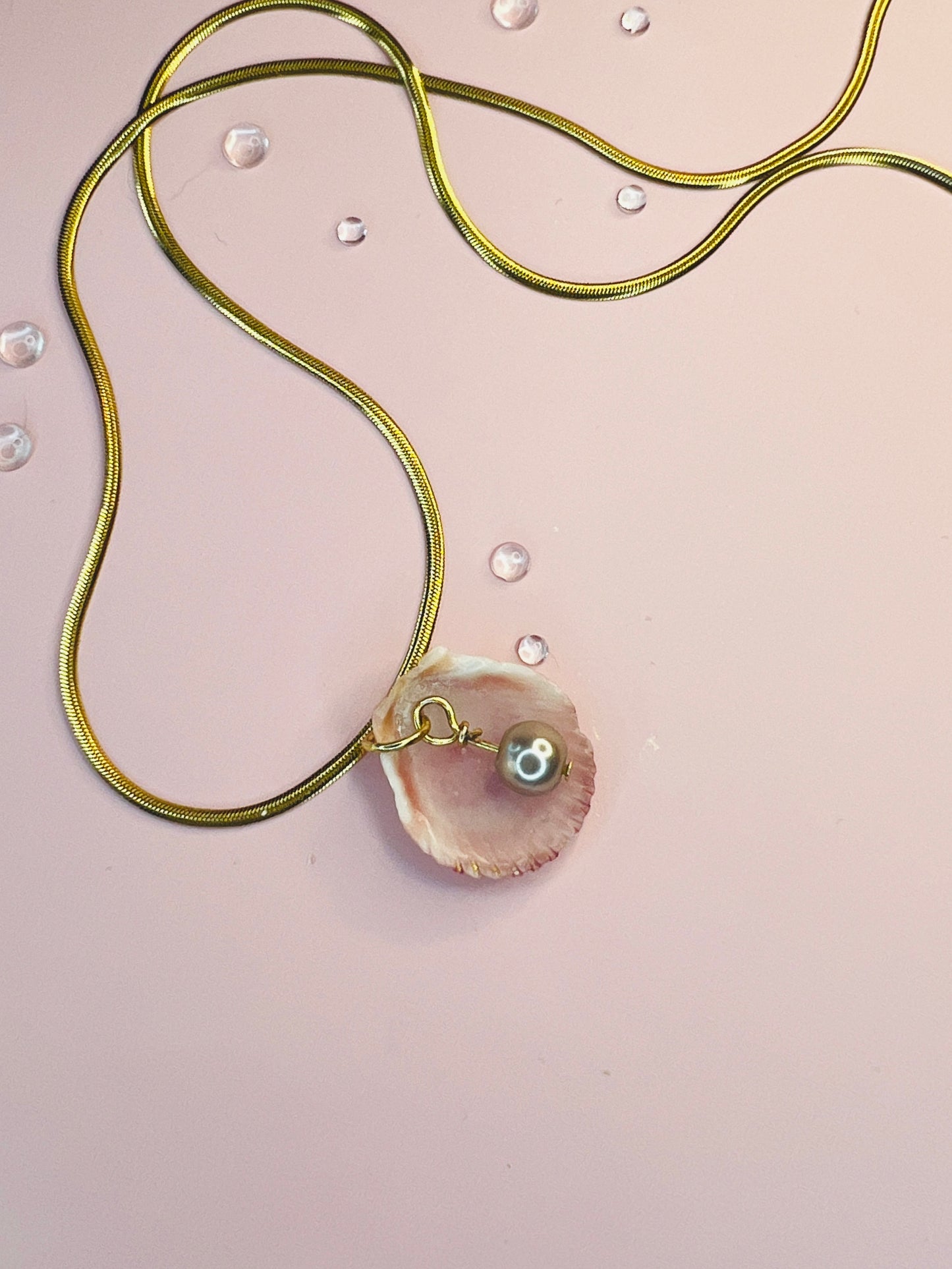 Calico Scallop Hidden Treasure Pendant Necklace