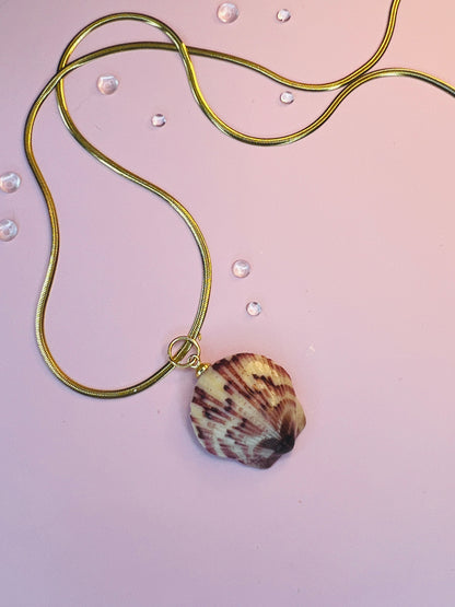 Calico Scallop Pendant Necklace